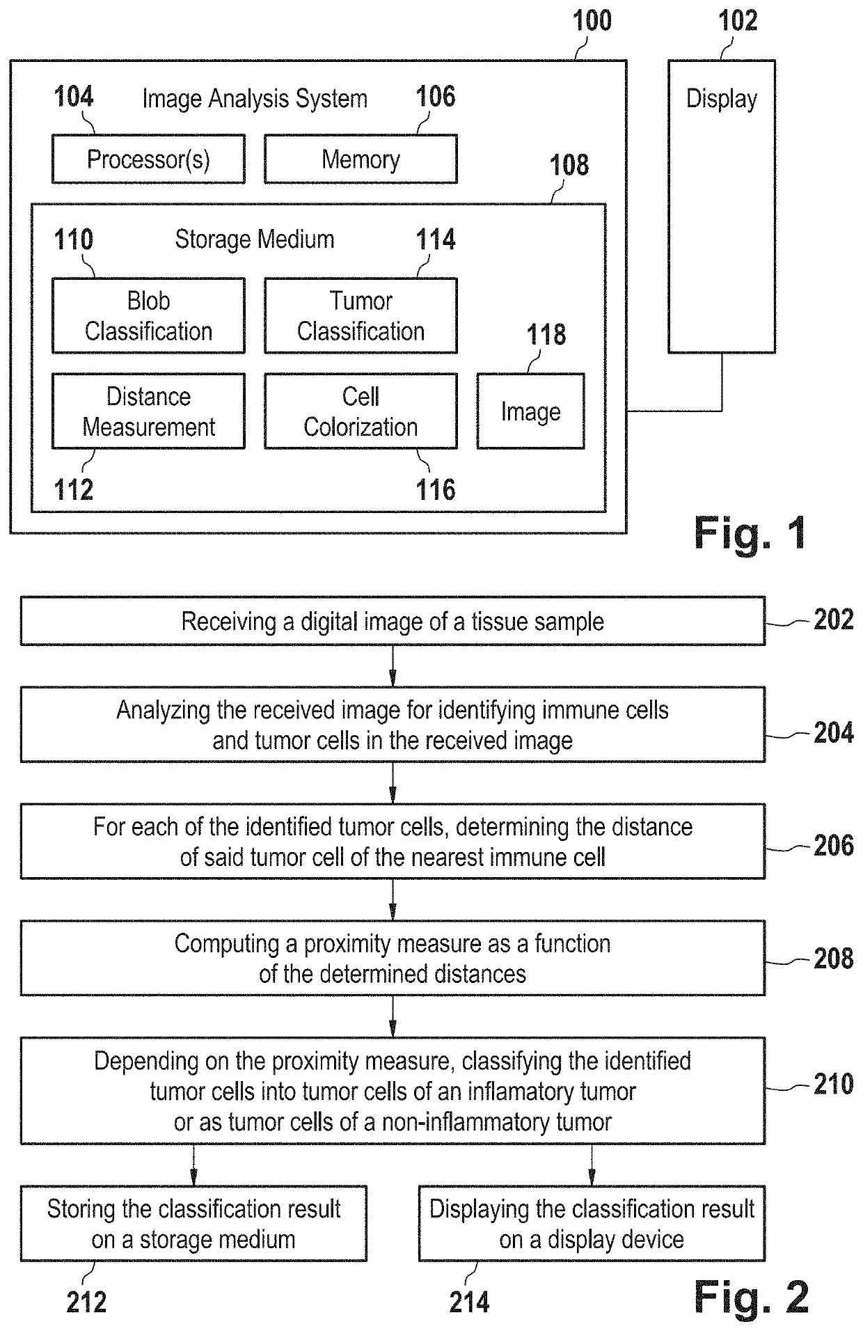 System and method of tumor classification