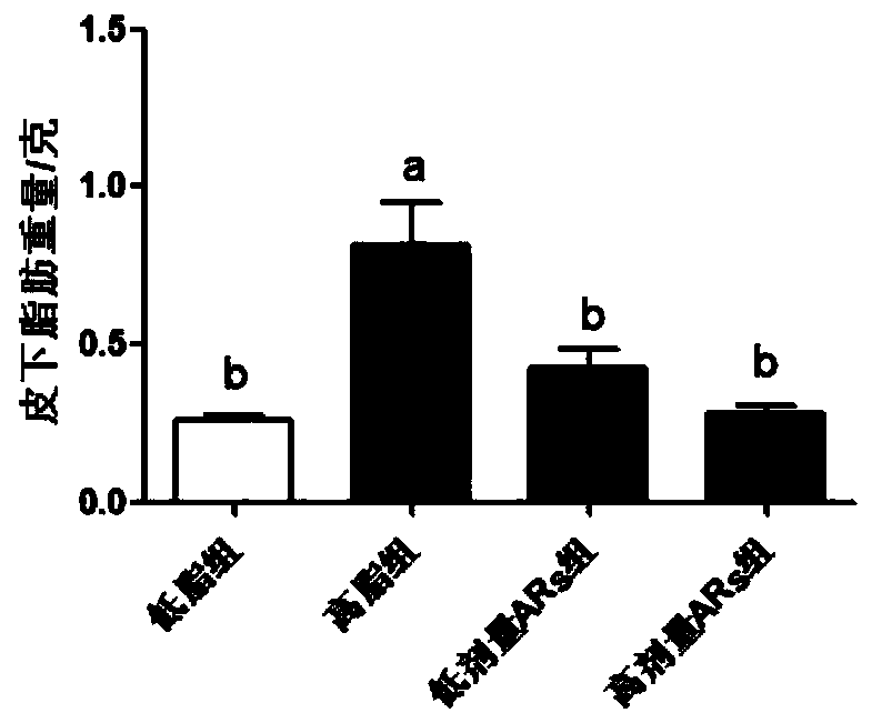 Application of alkyl resorcinol in the preparation of products for preventing or treating obesity-related diseases