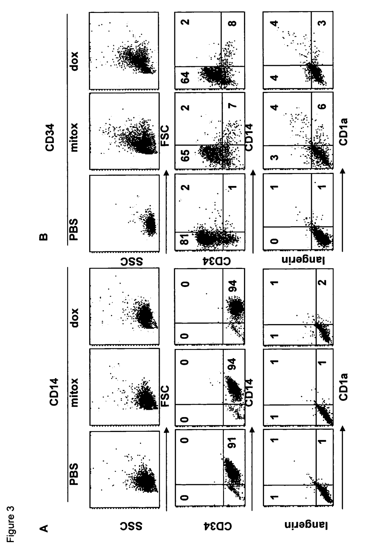 Method for inducing and accelerating cells