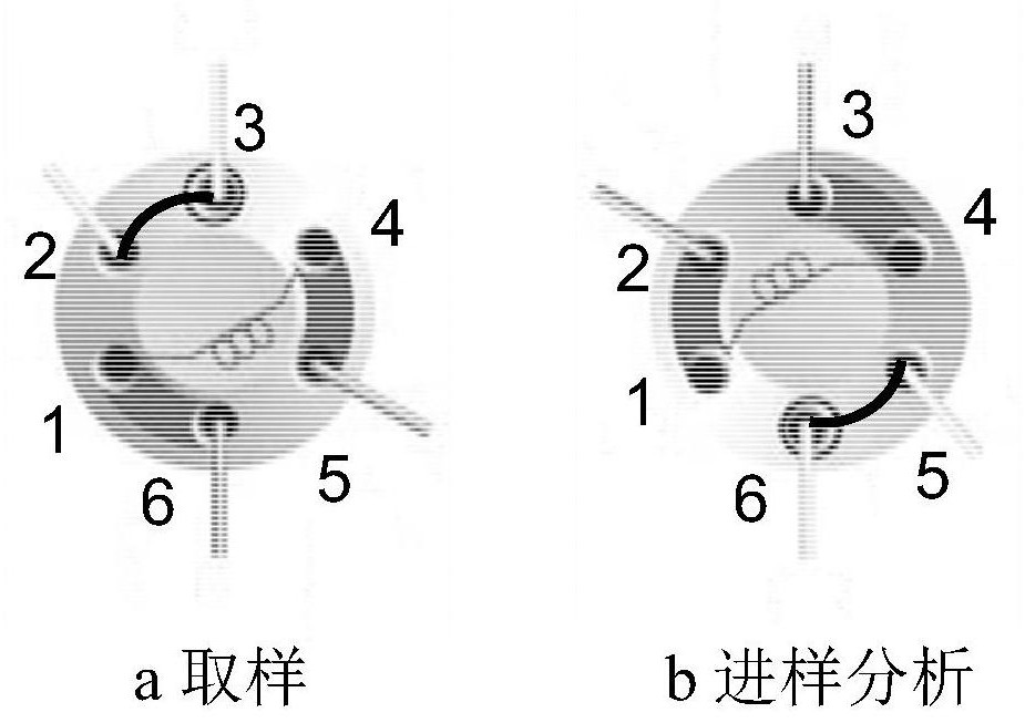 Non-catalytic acetylation reaction in supercritical CO2 and online detection method thereof