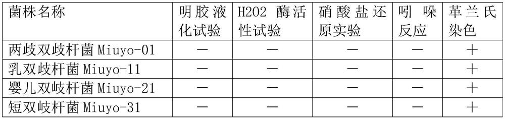 Composite bifidobacterium preparation capable of resisting allergy, enhancing immunity, reducing blood sugar, reducing fat and losing weight and preparation method of composite bifidobacterium preparation