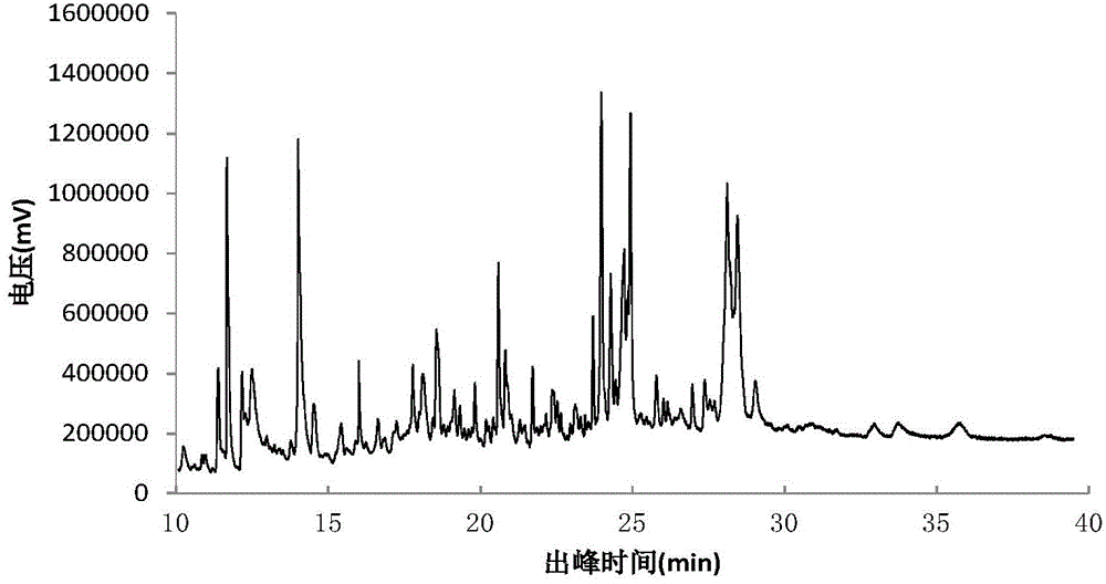 Extracting method and application of cigarette-used extract from termitornyces albuminosus fermentation substances