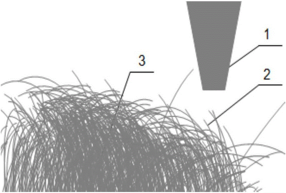 SEM (scanning electron microscope)-based image processing method for carbon nanotube automatic recognition