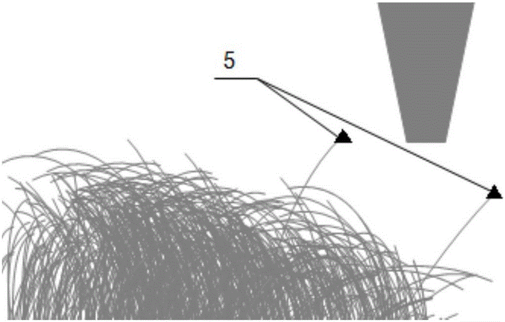 SEM (scanning electron microscope)-based image processing method for carbon nanotube automatic recognition