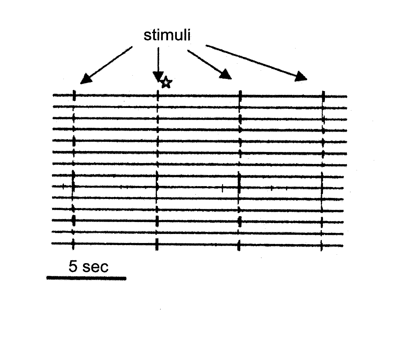 Cells and methods utilizing same for modifying the electrophysiological function of excitable tissues