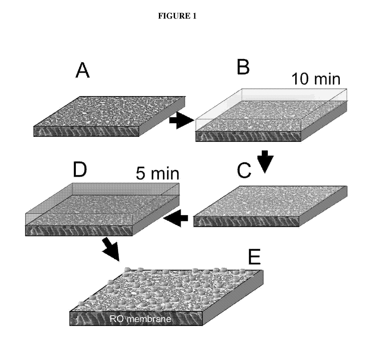 In situ formation of biocidal metal nanoparticles on thin-film composite reverse osmosis membranes for biofouling mitigation