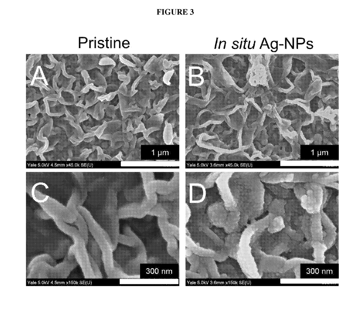 In situ formation of biocidal metal nanoparticles on thin-film composite reverse osmosis membranes for biofouling mitigation