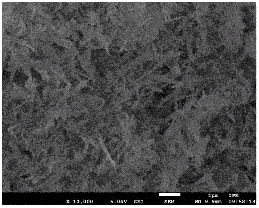 Method of preparing tobermorite from fly ash and application thereof