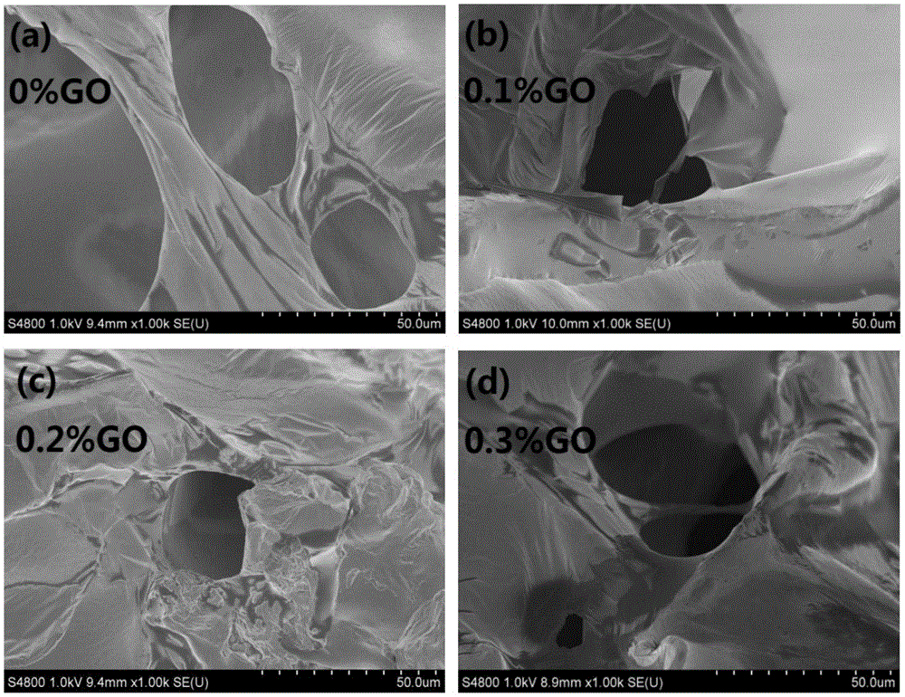 Chitosan low-temperature hydrogel and preparation method thereof