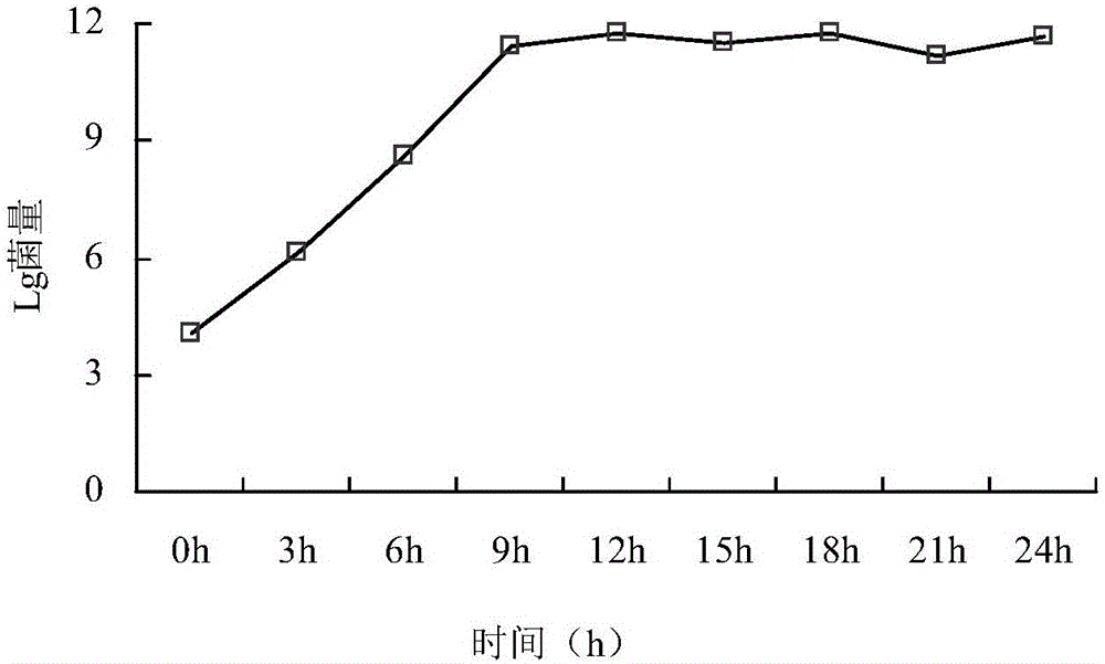 Industrial liquid fermentation method of bacillus cereus JZBC1 for dissolving pond dinoflagellate