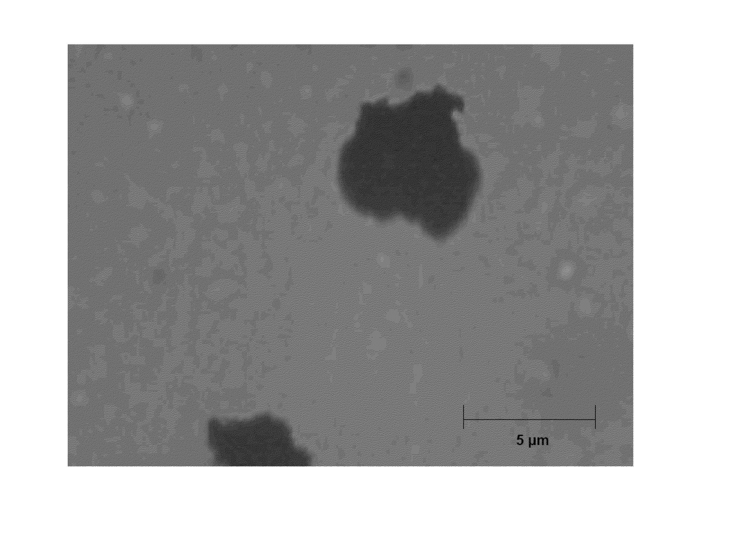 Compositions Comprising Solid Particles Encapsulated In A Cross-Linked Silicone Matrix, And Methods Of Making The Same