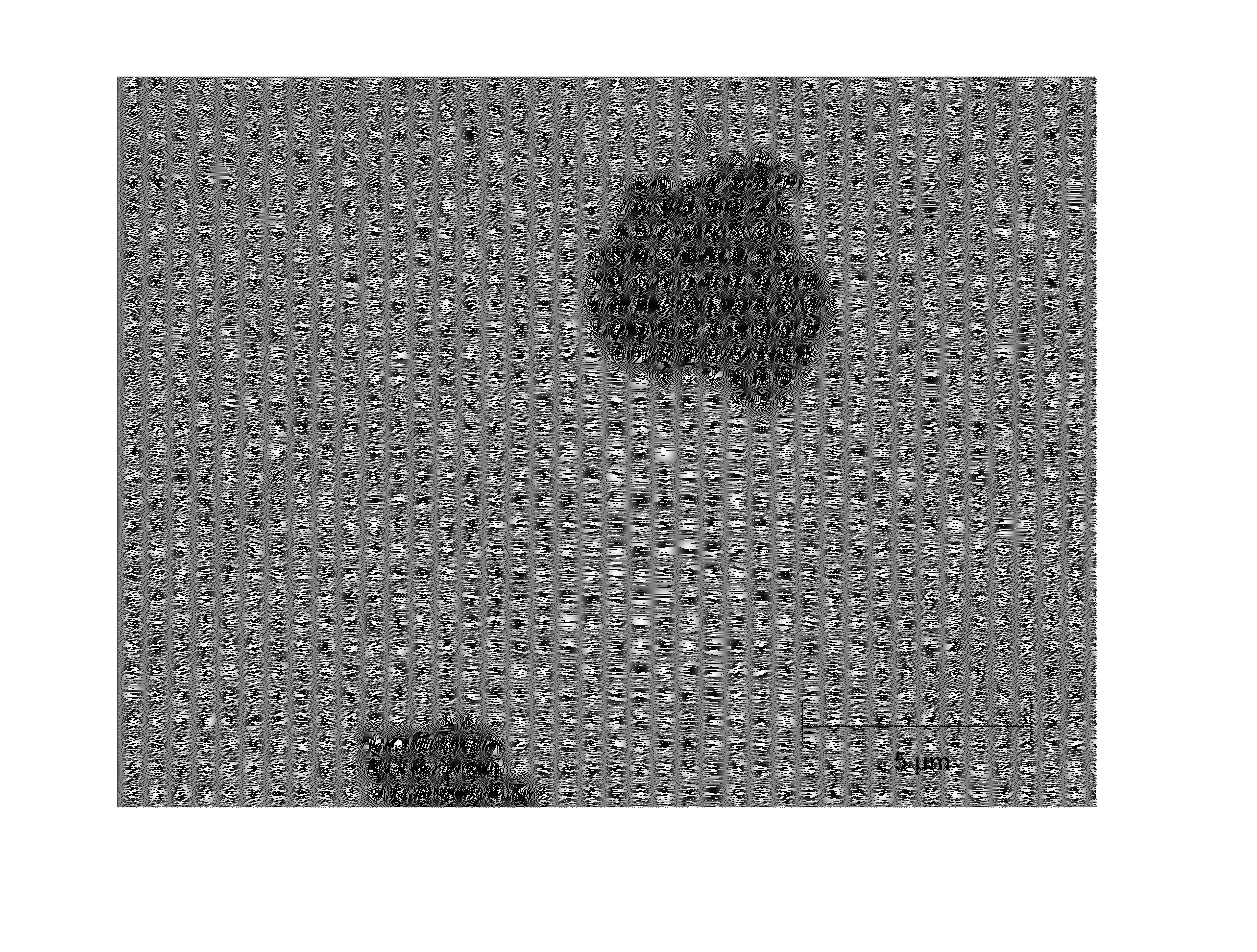 Compositions Comprising Solid Particles Encapsulated In A Cross-Linked Silicone Matrix, And Methods Of Making The Same