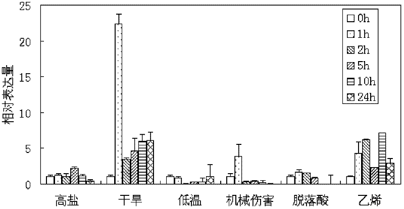 Soybean ethylene responsive factor (ERF) transcription factor, and coding gene and salt tolerance application thereof