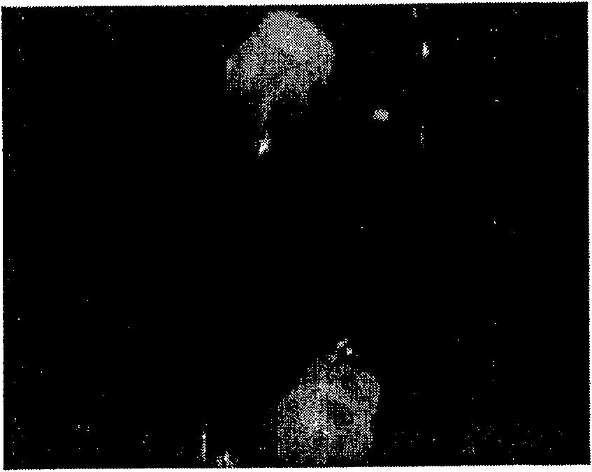 Automatic monitoring method for miner entry and exit of coal mine