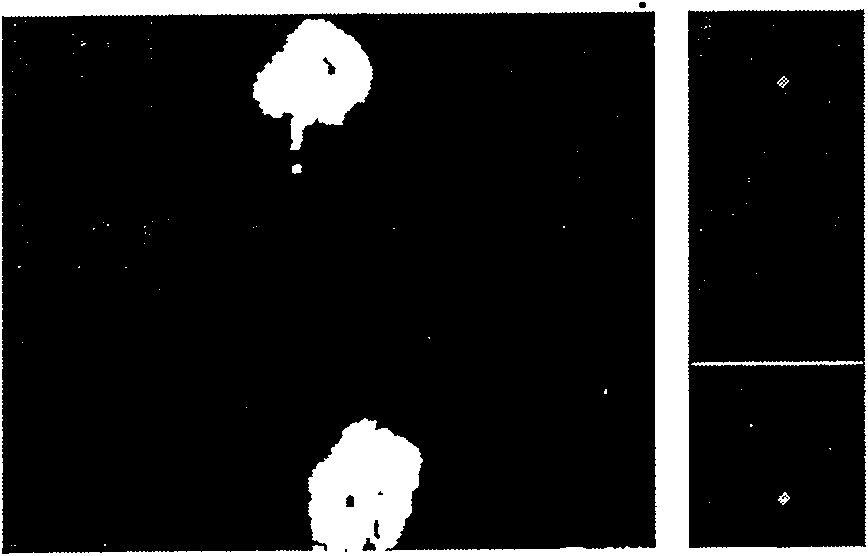 Automatic monitoring method for miner entry and exit of coal mine