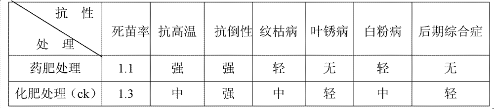 Organic corn medicinal fertilizer and preparation method thereof