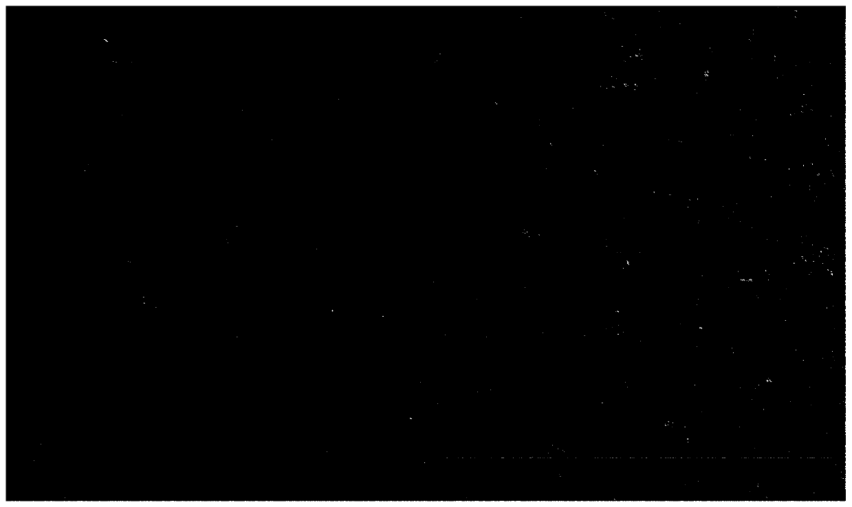 Preparation method of T1 strengthened nuclear magnetic resonance nanometer contrast agent