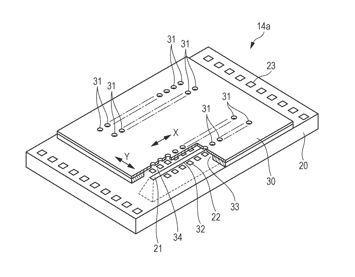 Liquid ejection head and liquid ejection apparatus