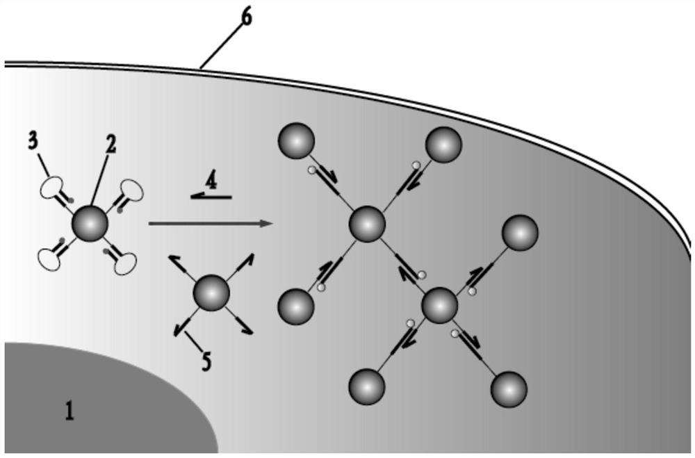 Nanogold dual-probe system based on DNA-encoded cycle program