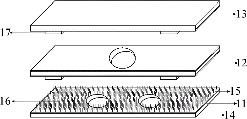 Online gas detection device based on carbon-nano-tube membrane micron-nano electrode