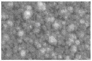 Regenerated active artificial implant for osteoporosis therapy and preparation method thereof