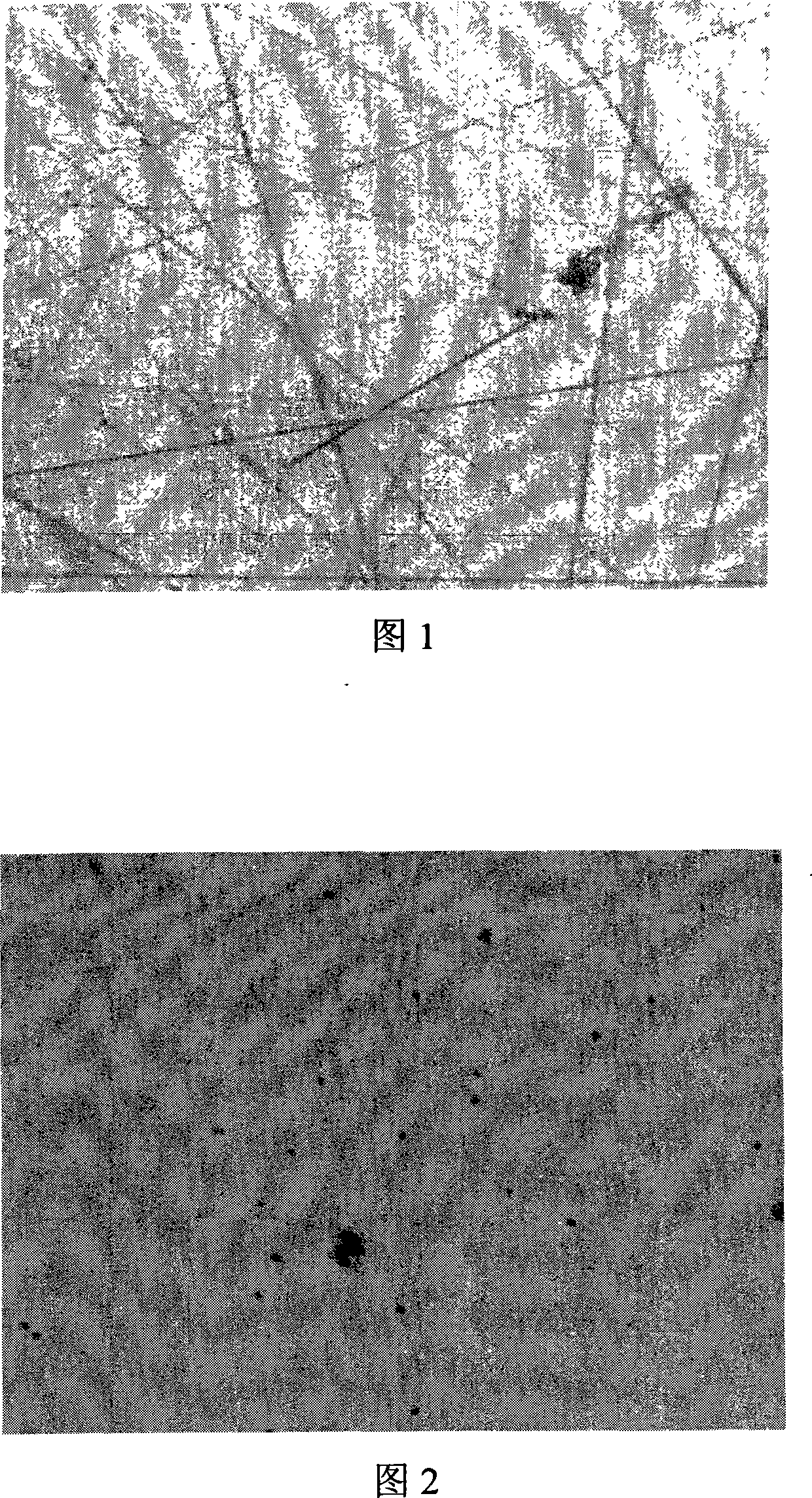 Chemical-mechanical polishing liquid for copper process