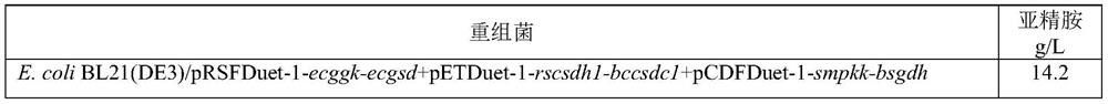 Method for producing spermidine by using cheap substrates and engineering bacterium