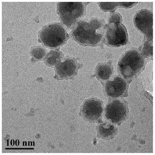 Membrane electrode assembly for solid polymer electrolyte electrolytic cell and preparation method