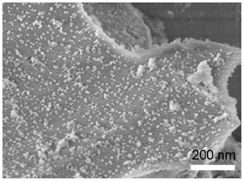 Catalytic system for catalyzing decarbonylation of dimethyl oxalate to directly generate dimethyl carbonate