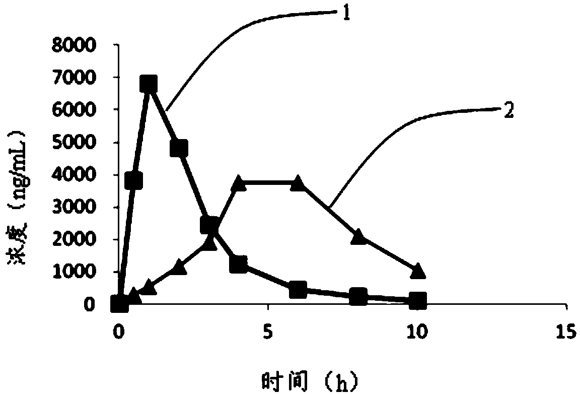 Intragastric floating sustained release tablet of praziquantel composition and preparation method thereof