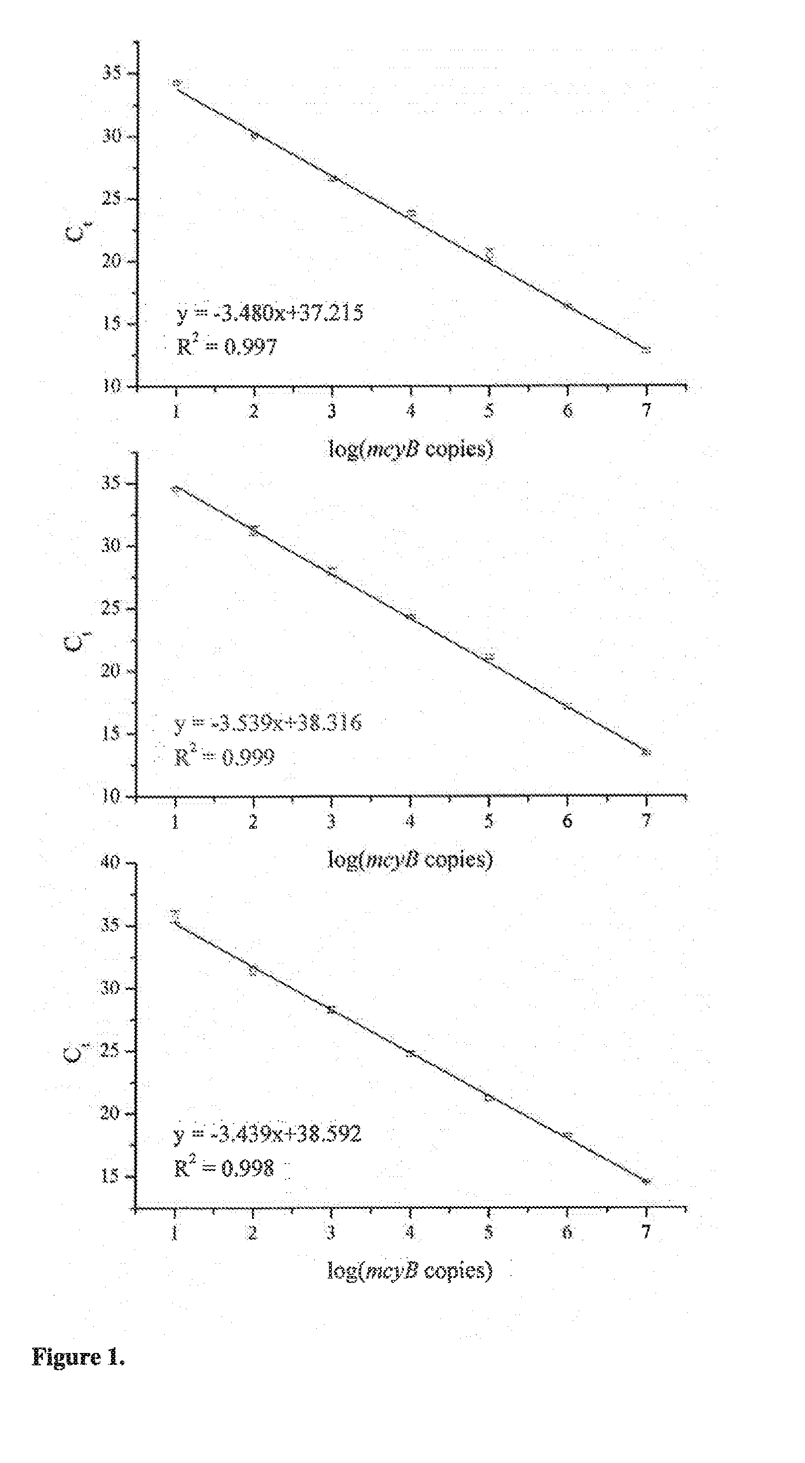 Method and primers for the detection of microcystin-producing toxic cyanobacteria