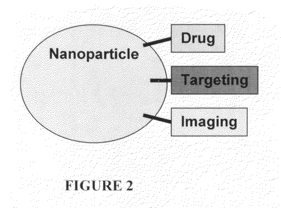 Polymeric nanoparticles by ion-ion Interactions