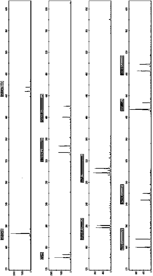 New Short Nucleotide Tandem Repeat Sequence Site and Its Application