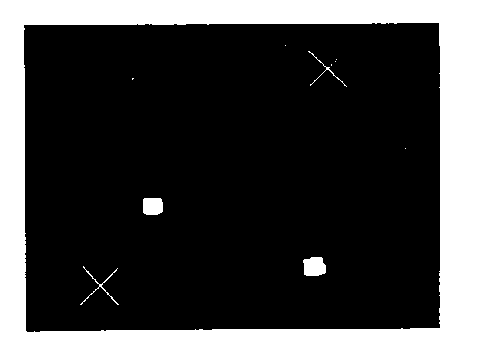 Method of staining target interphase chromosomal DNA