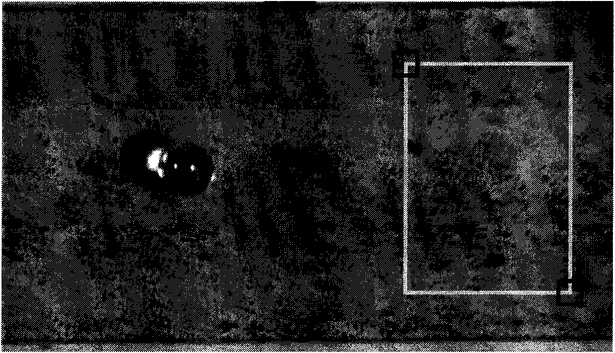 Method and device of measuring material thermal shock property