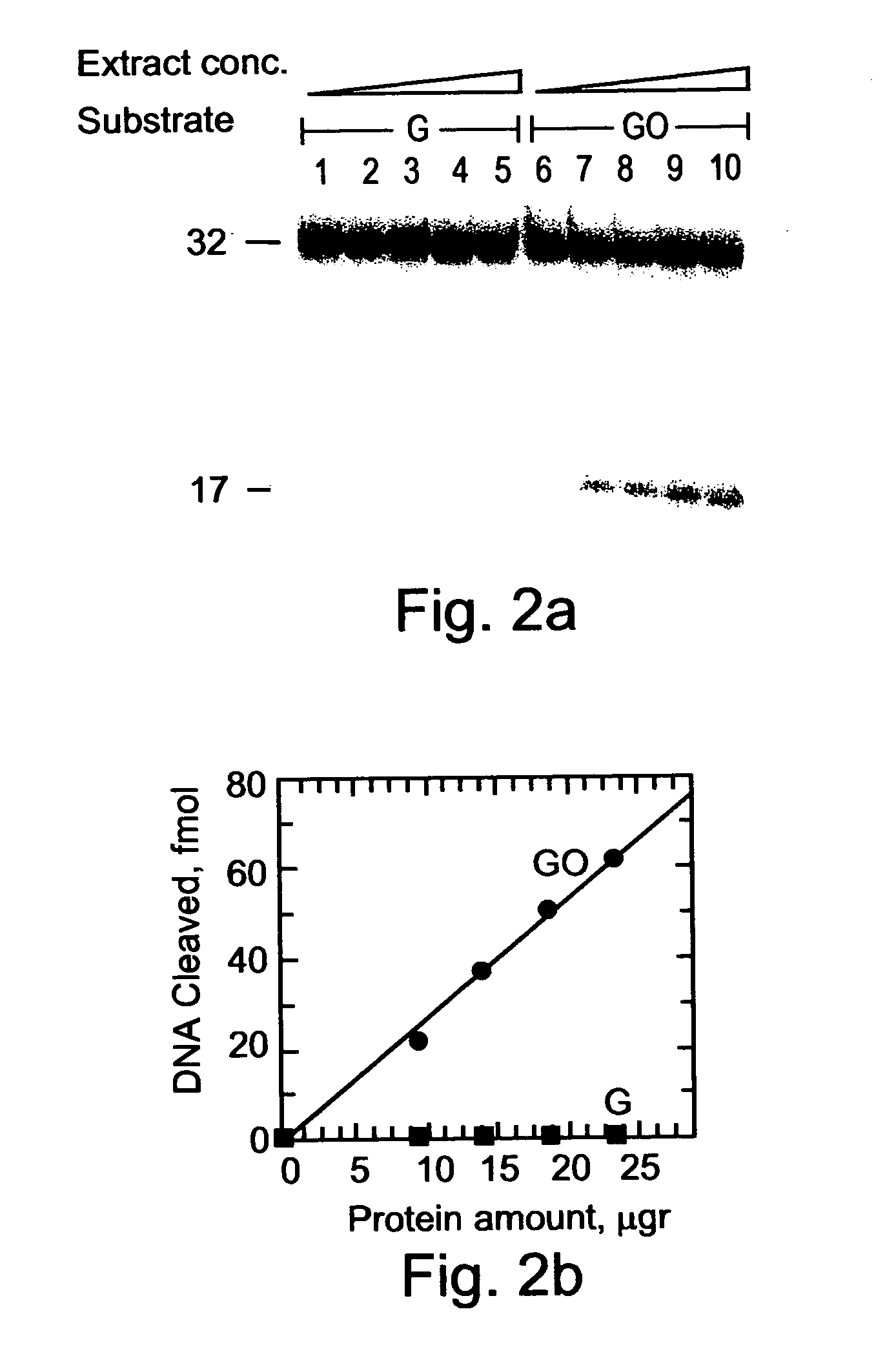 Methods and kits for determining a risk to develop cancer, for evaluating an effectiveness and dosage of cancer therapy and for correlating between an activity of a dna repair enzyme and a cancer