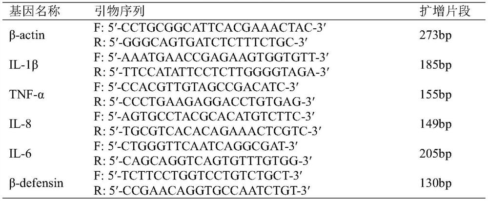 In-vitro inflammation model of dairy cow mammary epithelial cells as well as construction method and application of in-vitro inflammation model