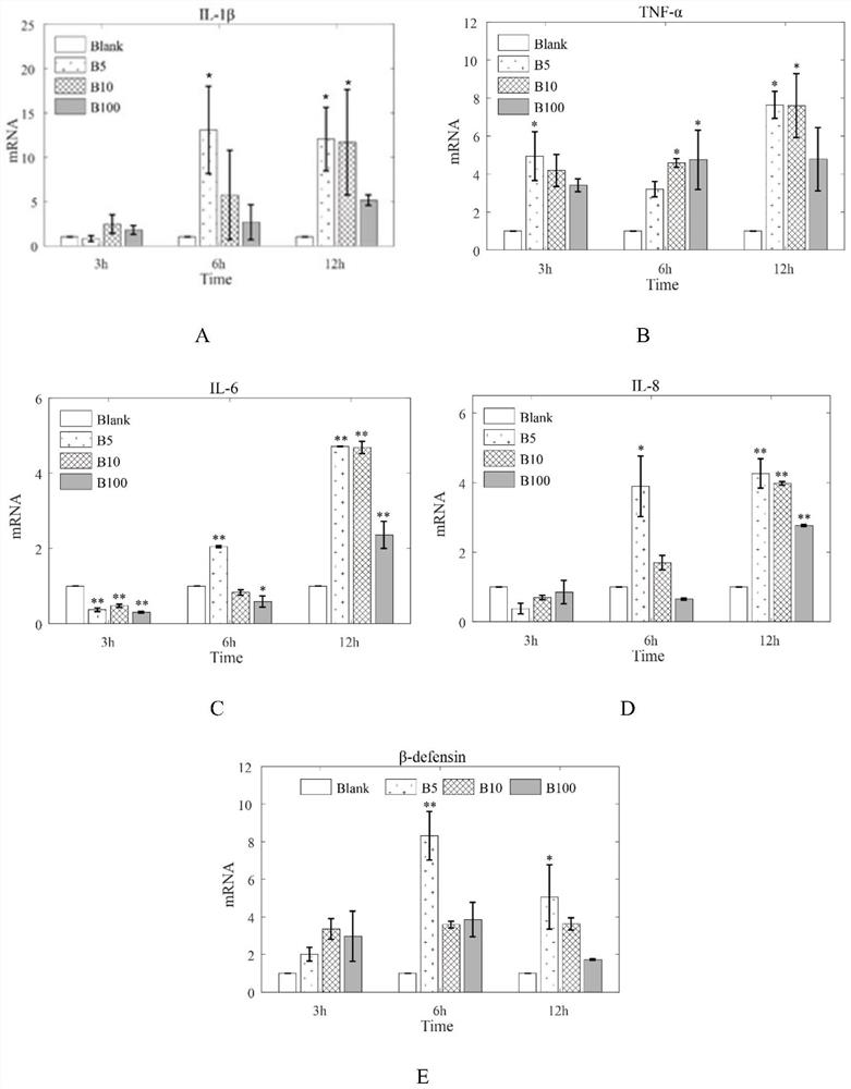 In-vitro inflammation model of dairy cow mammary epithelial cells as well as construction method and application of in-vitro inflammation model