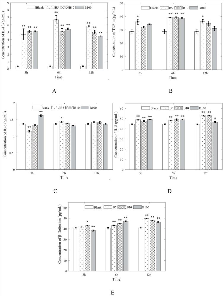 In-vitro inflammation model of dairy cow mammary epithelial cells as well as construction method and application of in-vitro inflammation model