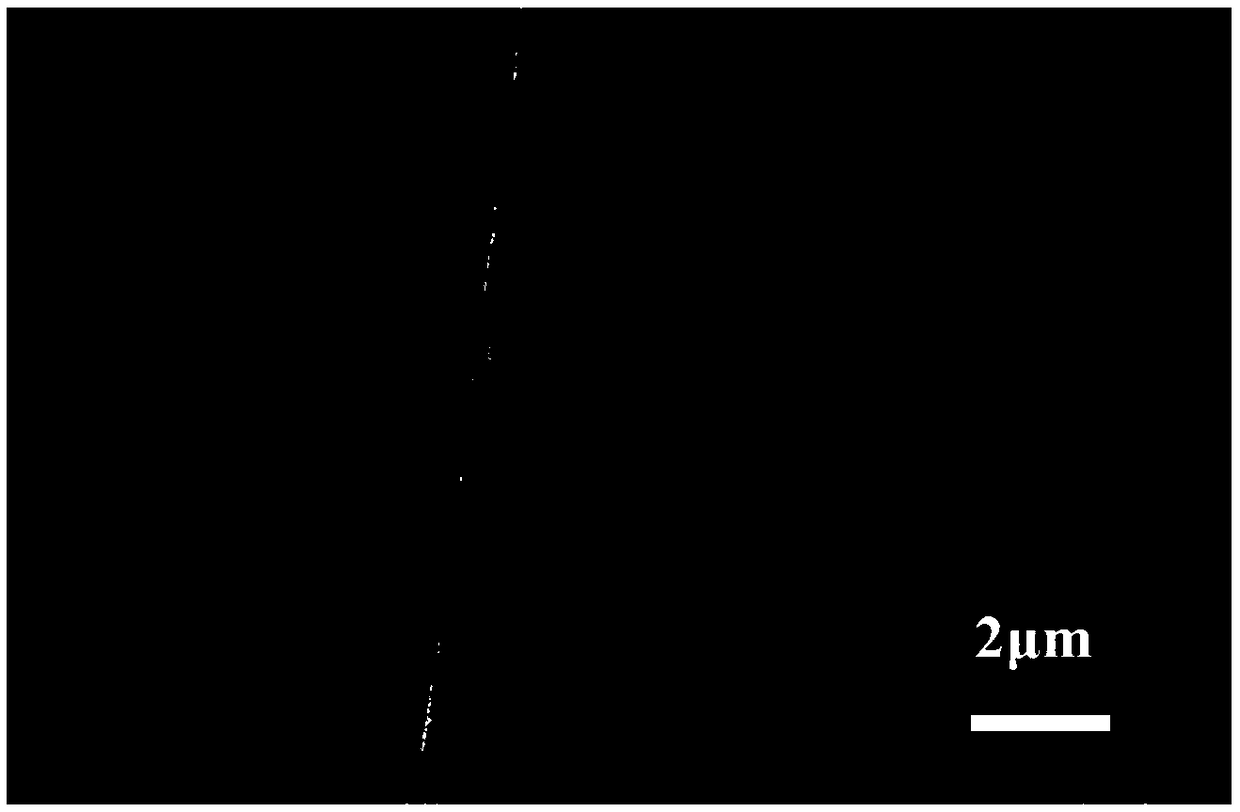 An electrode based on a flexible polyester wire substrate, a preparation method thereof, and a wearable supercapacitor