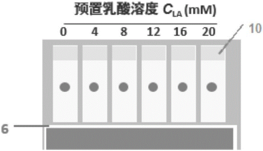 Electrochromic sensor array and manufacturing method and application method thereof