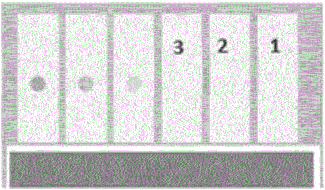 Electrochromic sensor array and manufacturing method and application method thereof