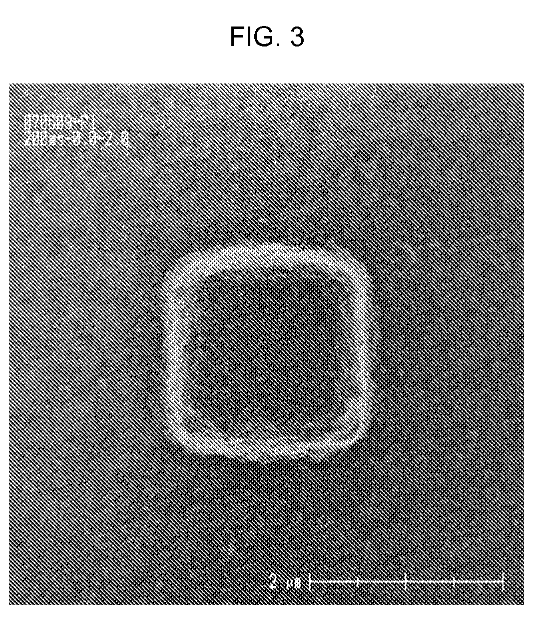 Photosensitive resin composition for color filter and color filter using same