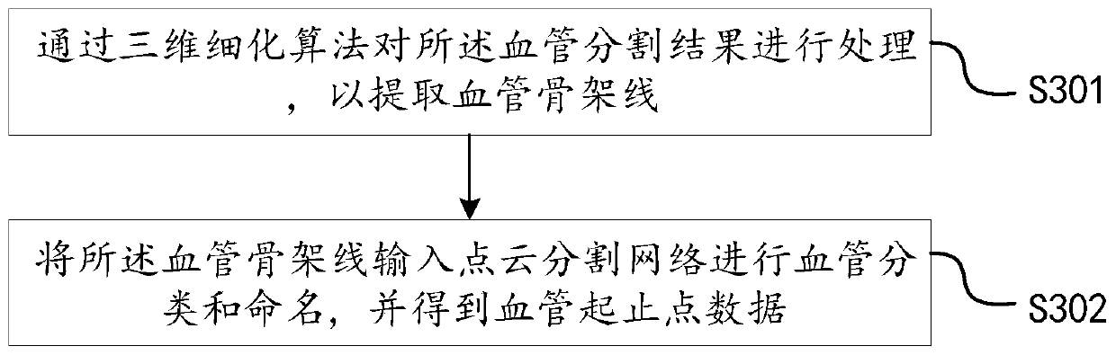 Head-neck blood vessel center line extraction method and device