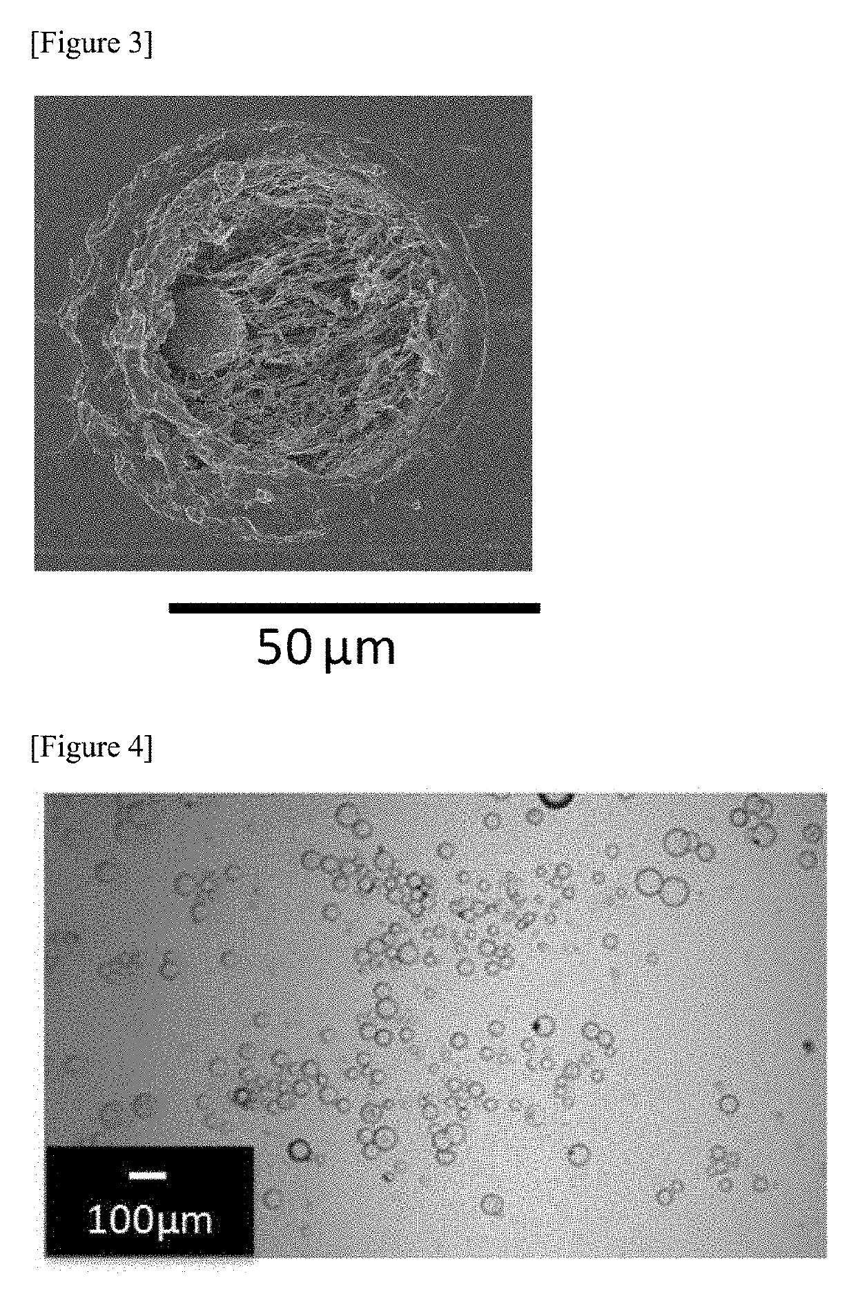 Therapeutic agent for hyperphosphatemia and particles