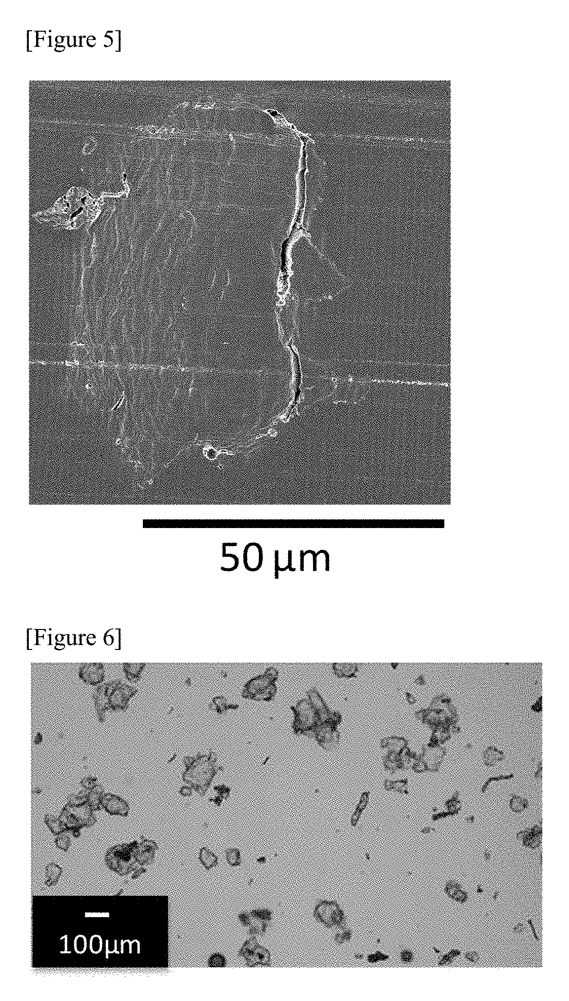 Therapeutic agent for hyperphosphatemia and particles