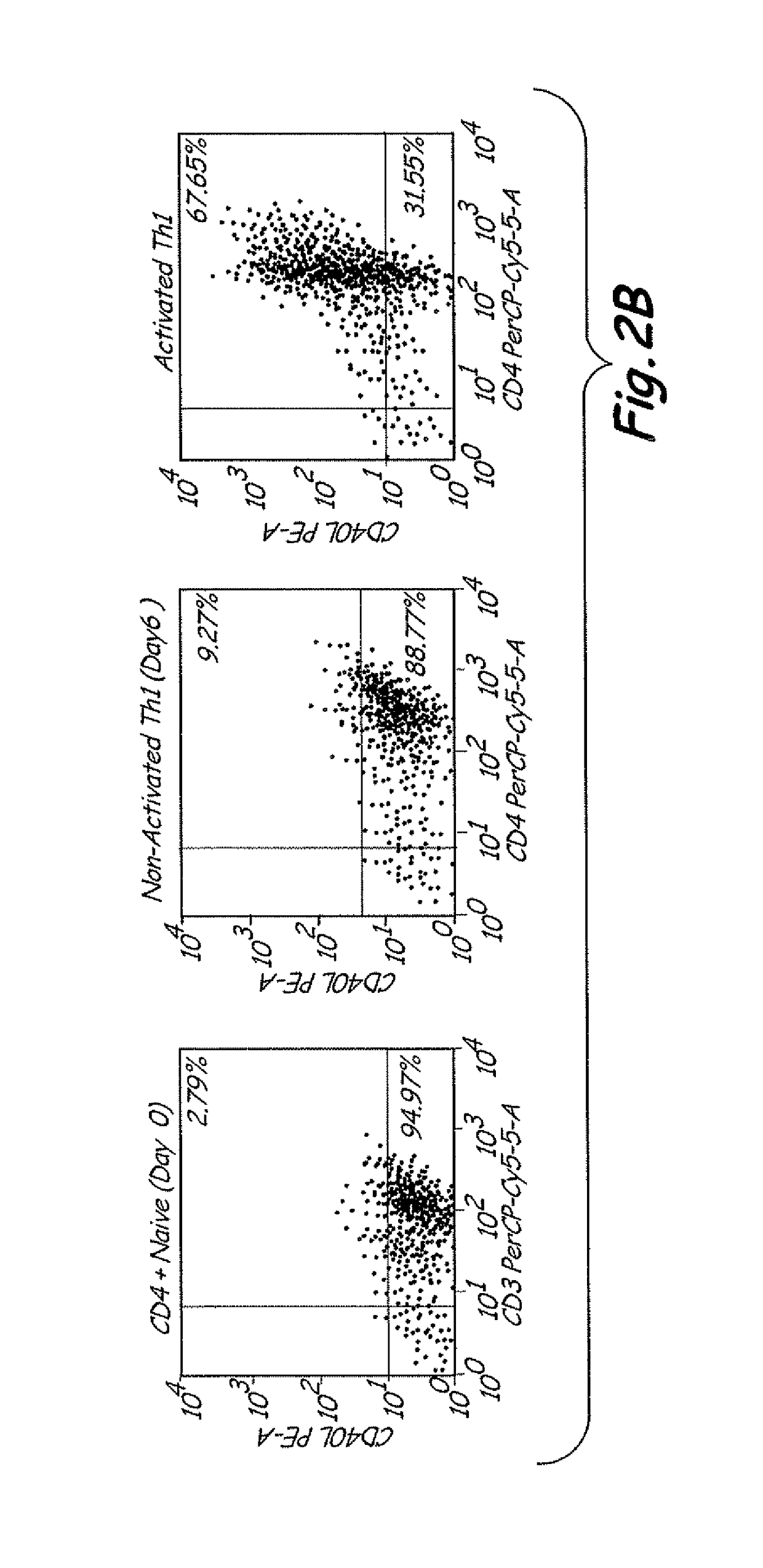 Th1 vaccination priming for active immunotherapy