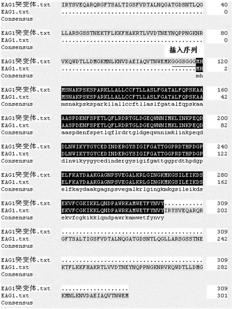 Chitosanase mutant