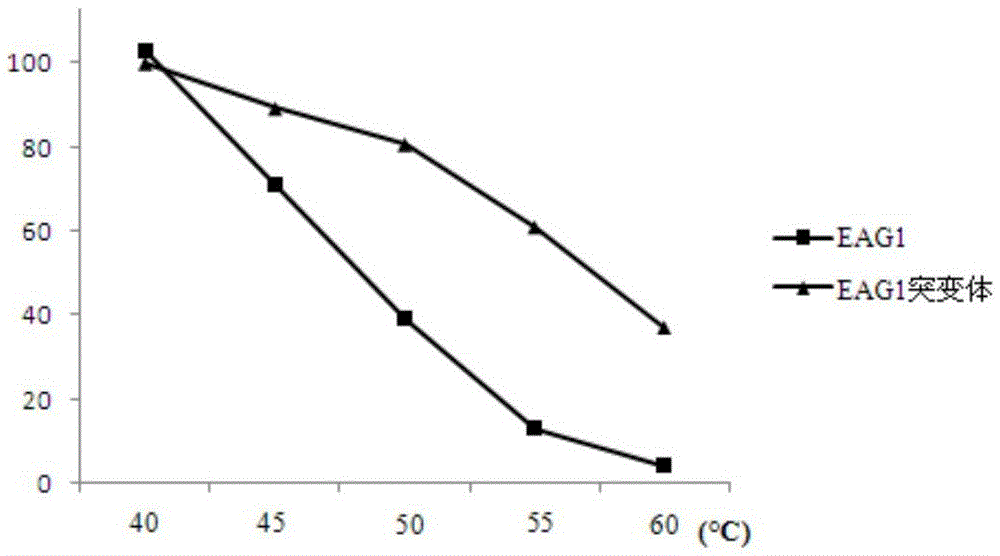 Chitosanase mutant