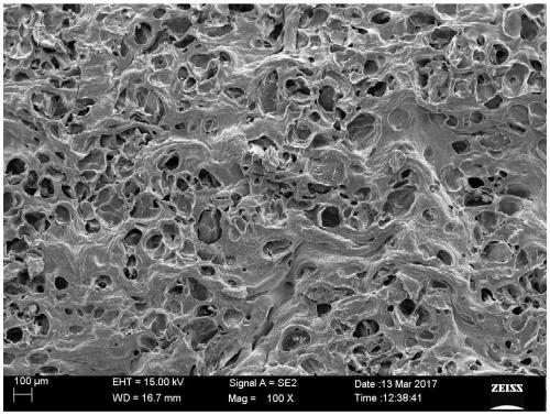 Polyvinyl alcohol hydrogel and preparation method thereof